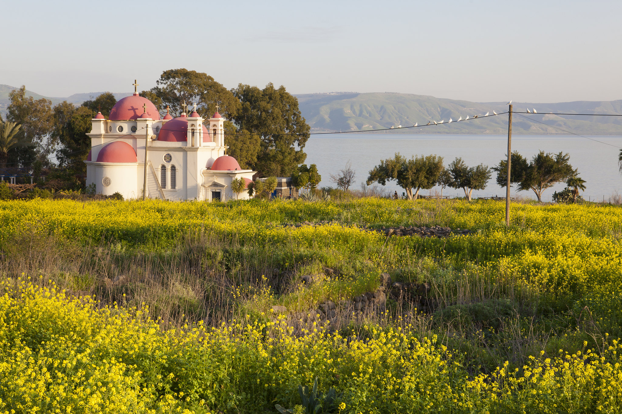 Biblical Highlights of the Galilee