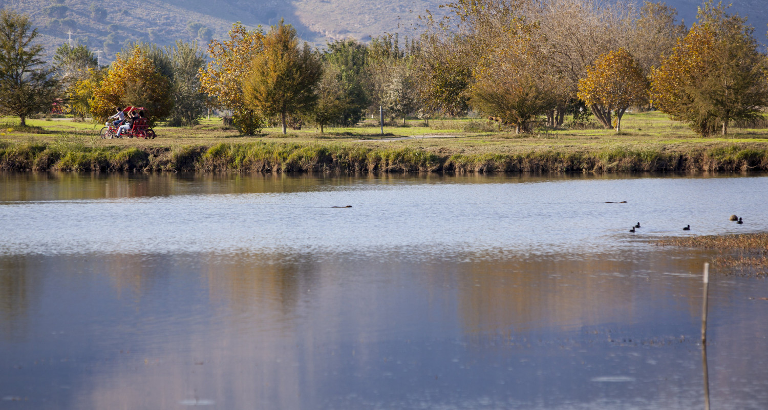 Upper Galilee